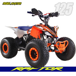Miniquad Rebel Master RAPTOR 125, la meilleure option