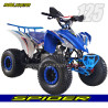Quad Rebel Master SPIDER 125