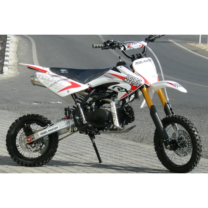 RX140 2009