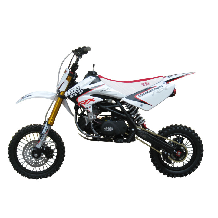 RX 160 2010