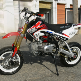 POLE 160 V2 2012