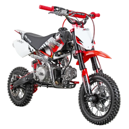 Rebel Master PIT BIKE 110 2016