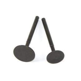 Válvulas 110 y 125. 23mm-20mm
