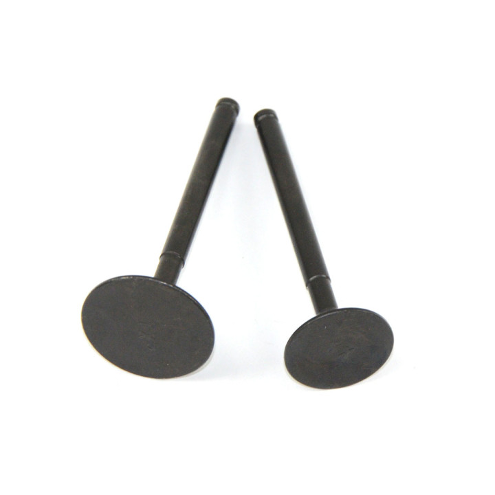 Valves 110 - 125