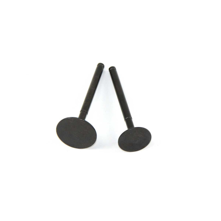 Jeu de valves Z155, 28 mm et 23 mm.