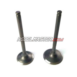 Soupapes de culasse du moteur Z190
