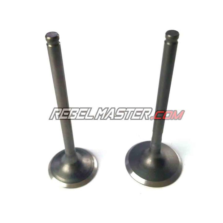 Soupapes de culasse du moteur Z190
