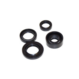 Retenes de motor YX140