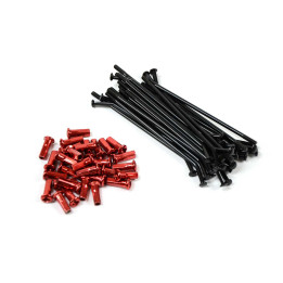 Kit 32 Radios con tuerca para rueda trasera 10"