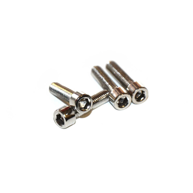 Tornillos Tija 6mm x 4 unidades