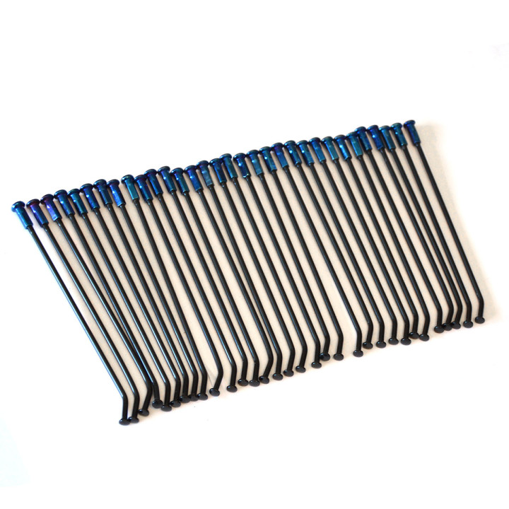Kit 32 rayons 14" noirs avec écrou bleu