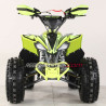 Miniquad Rebel Master RAPTOR-X 125